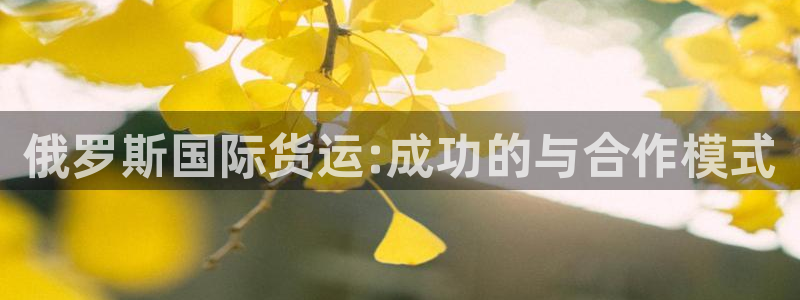 ,优游国际pg如何退钱