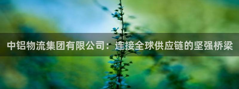 ,优游国际流水怎么算：中铝物流集团有
