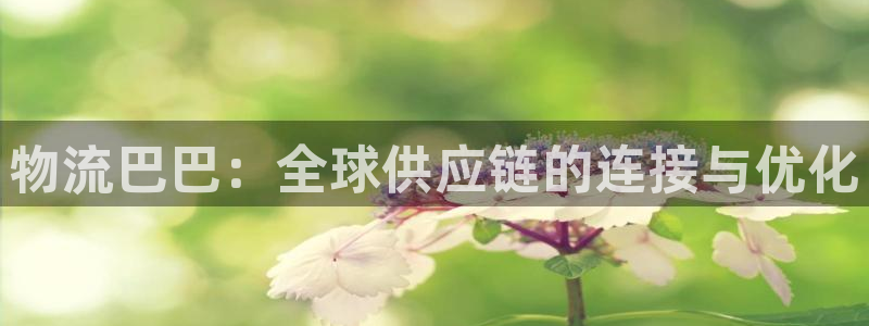 ,优游国际登录流程：物流巴巴：全球供