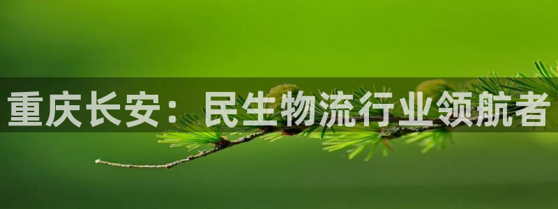 ,优游国际充值不处理怎么办：重庆长安