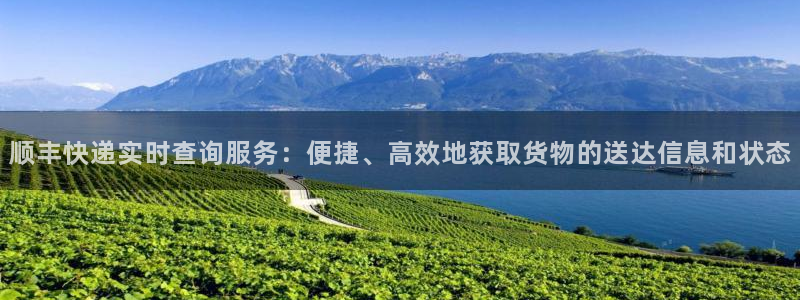 ,优游国际加拿大：顺丰快递实时查询服