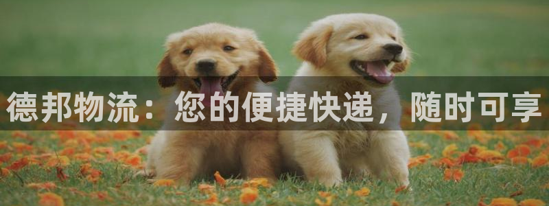 ,优游国际软件是诈骗吗：德邦物流：您