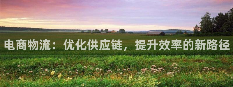 ,优游国际下载体育：电商物流：优化供