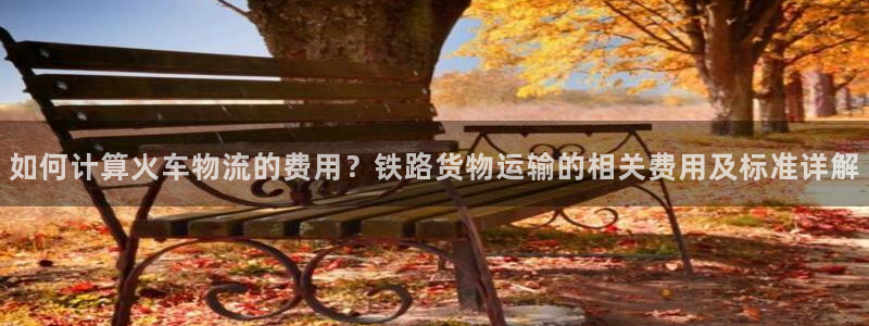,优游国际链接：如何计算火车物流的费