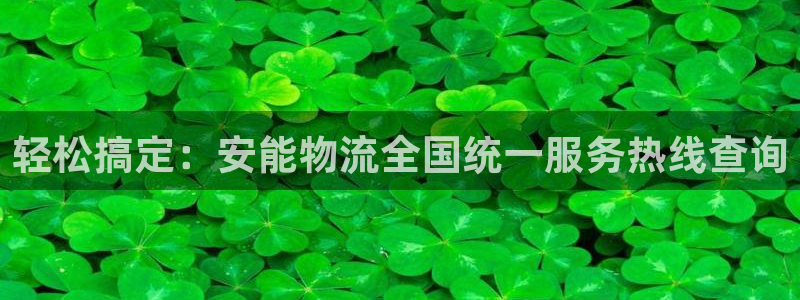 加拿大,优游国际数字规则:轻松搞定: