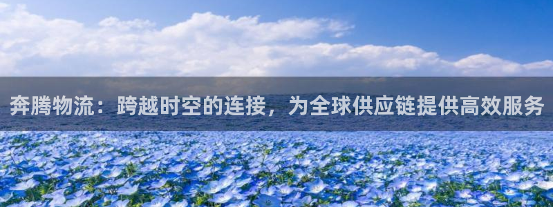 ,优游国际注册二维码：奔腾物流：跨越