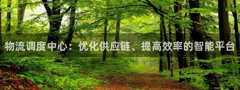 ,优游国际游戏：物流调度中心：优化供