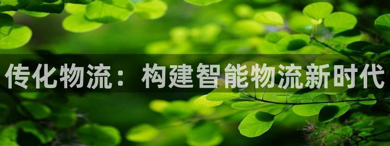 ,优游国际初始密码在哪里修改：传化物