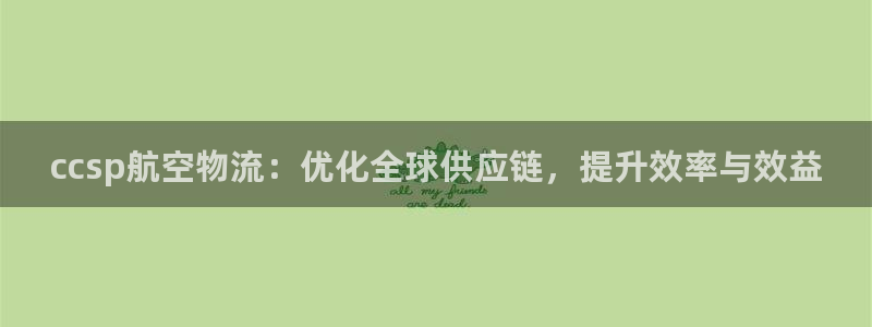 ,优游国际PG电子游戏：ccsp航空