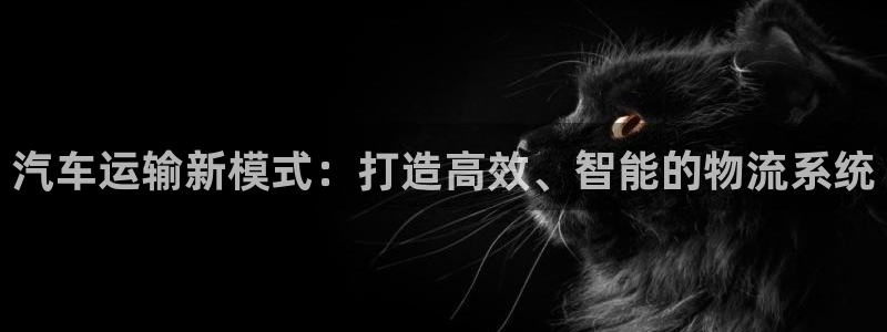 ,优游国际娱乐官网网页：汽车运输新模