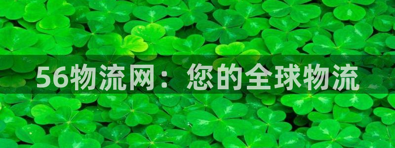 ,优游国际怎么申请代理：56物流网：