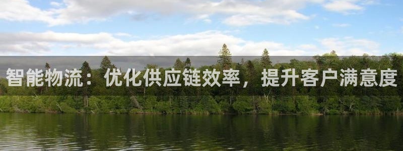 ,优游国际注册登录：智能物流：优化供