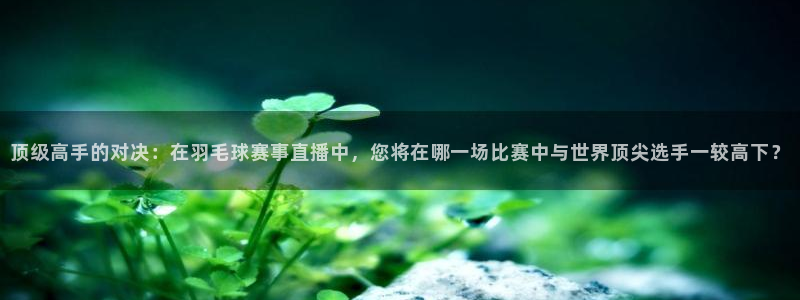 龙门直播间：顶级高手的对决：在羽毛球赛事直播中，您将在哪一场比赛中与世界顶尖选手一较高下？