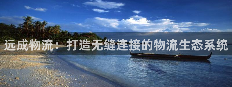 优游国际官方网站：远成物流：打造无缝
