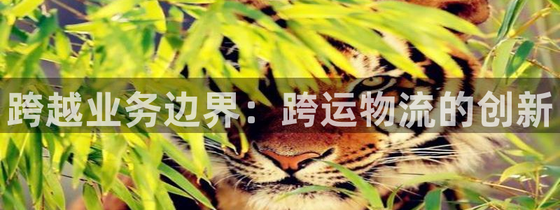 自行车,优游国际是什么意思：跨越业务