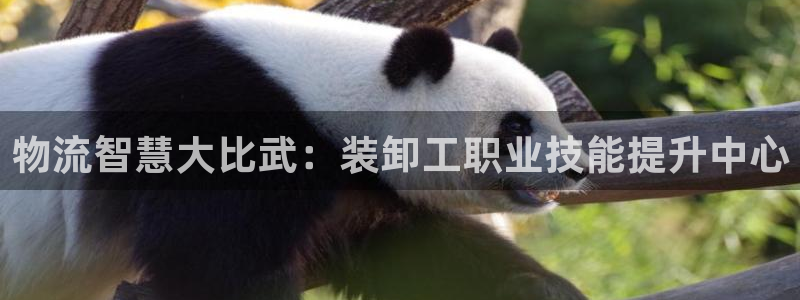 ,优游国际为什么没有赢过一次：物流智