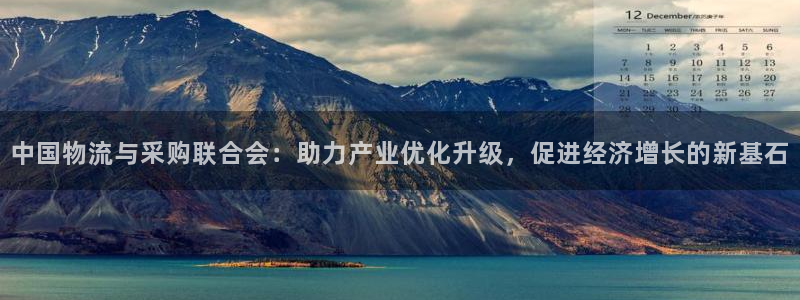 ,优游国际充值方式：中国物流与采购联