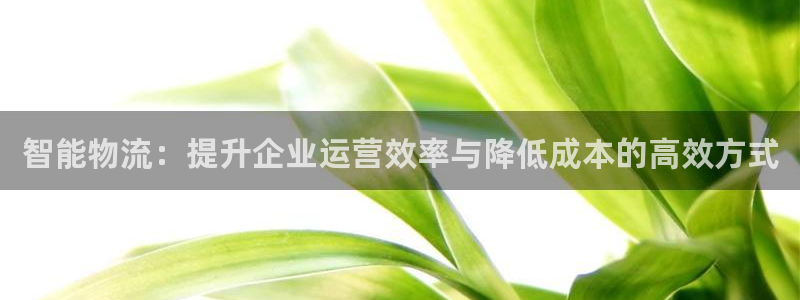,优游国际登陆网：智能物流：提升企业