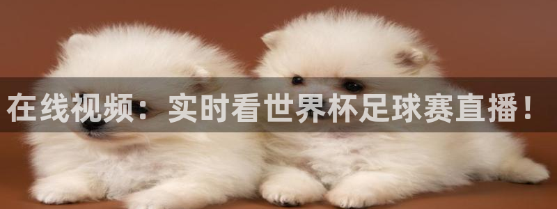 龙门体育免费直播