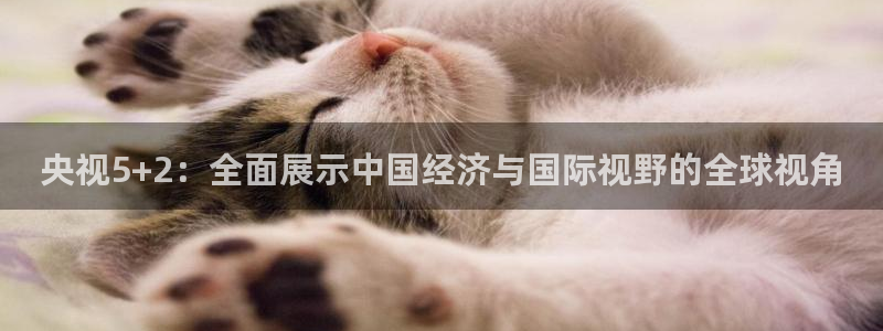 龙门体育直播免费观看