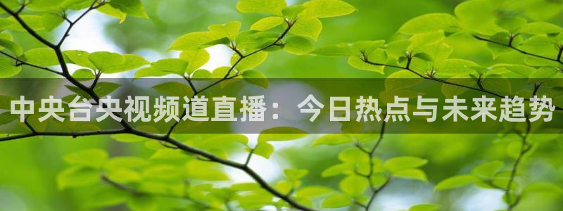 龙门飞甲超清在线播放