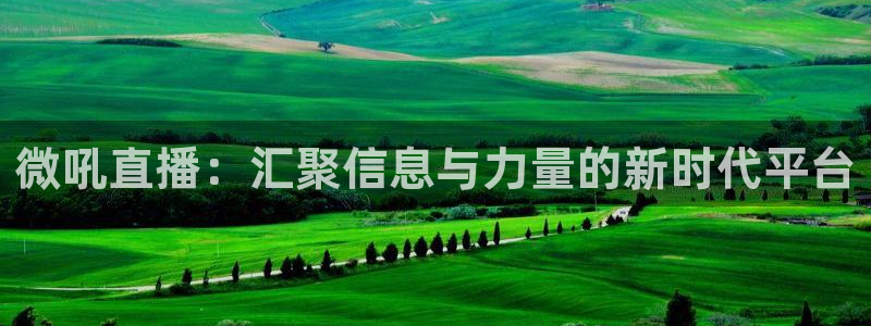 龙门直播体育：微吼直播：汇聚信息与力量的新时代平台