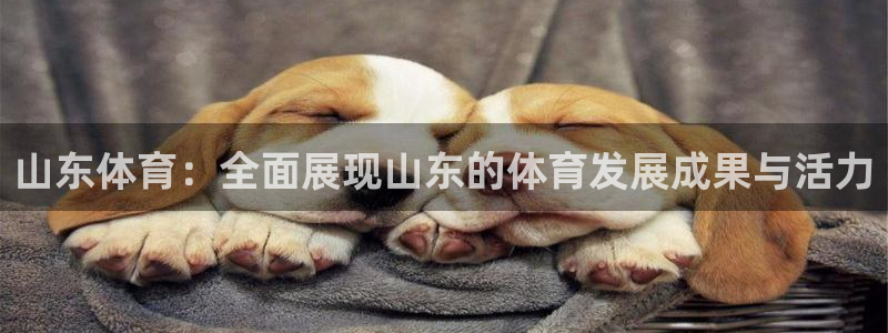 龙门直播下载：山东体育：全面展现山东的体育发展成果与活力