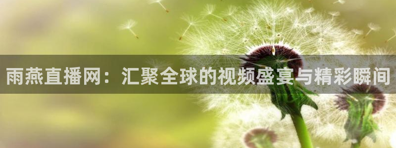 龙门体育视频直播